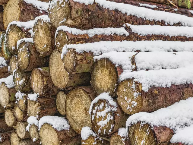 Holz im Schnee - Brennholzverkauf