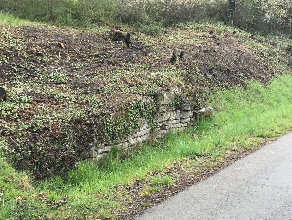 Nur kleine Reste einer ursprünglich durchgehenden Trockenmauer waren im Naturdenkmal oberhalb des Holzwegs noch vorhanden.